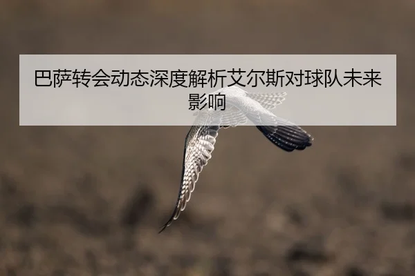 巴萨转会动态深度解析艾尔斯对球队未来影响
